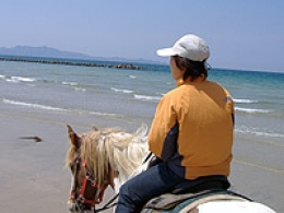 【爽快！】 ビーチ乗馬体験(騎乗時間90分)◆写真付