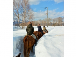 【雪の湖と森のお散歩コース】　馬のお世話から体験！屈斜路の冬の自然と大雪原となる屈斜路湖も楽しめる
